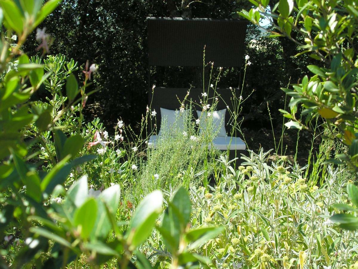 Bed & Breakfast Clos Des Lavandes - Et De Charme Climatisees-luberon