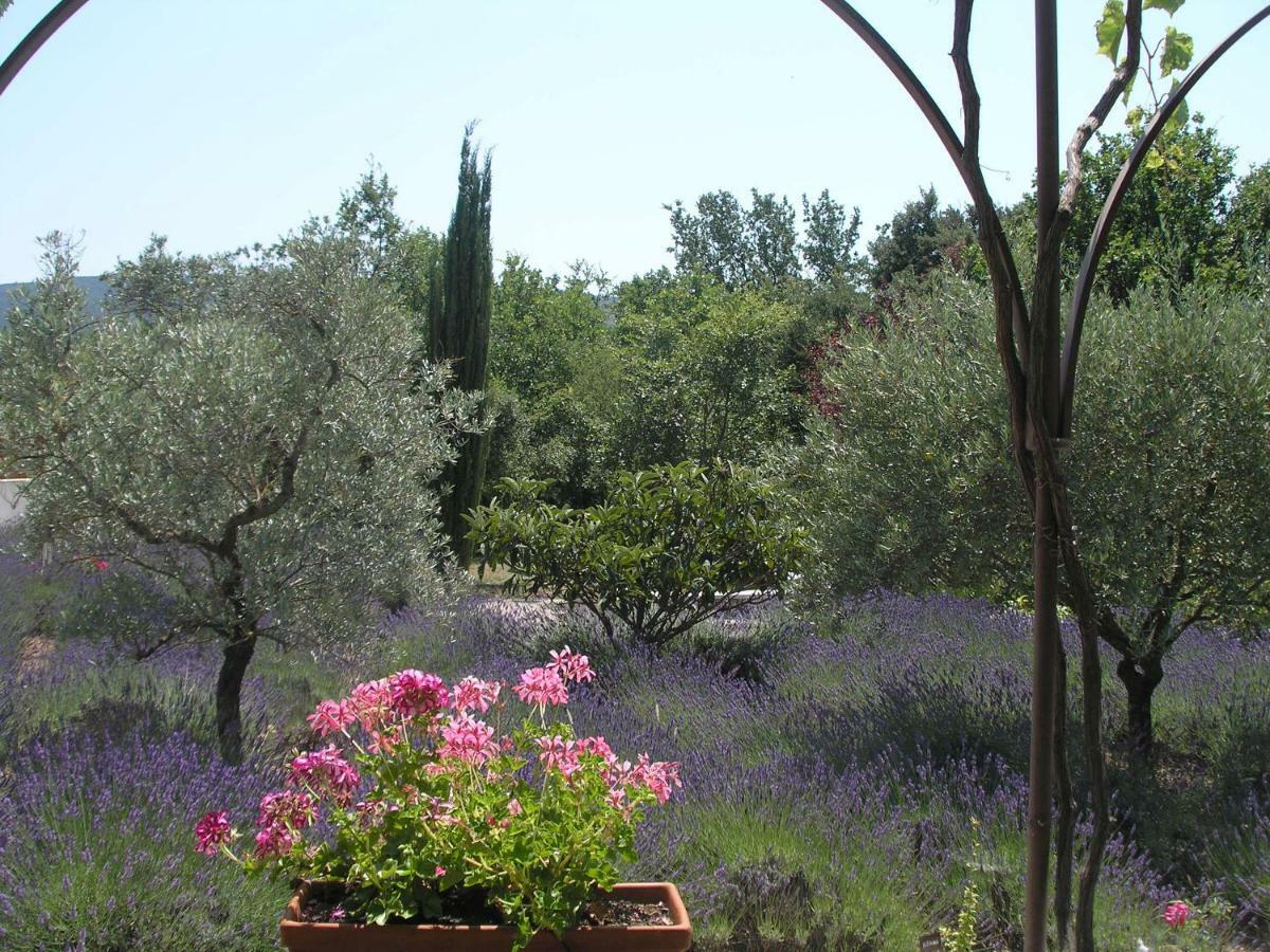 Clos Des Lavandes - Et De Charme Climatisees-luberon 3*